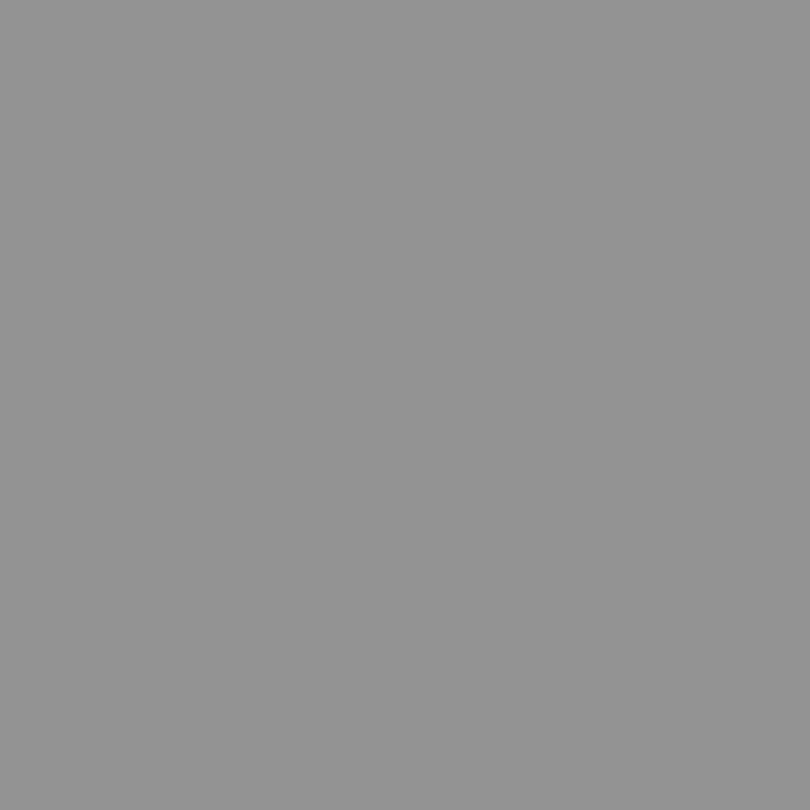 Bresser SBP17 Grey Paper Background Roll - 2.72m x 11m for Photography Studio Backdrop