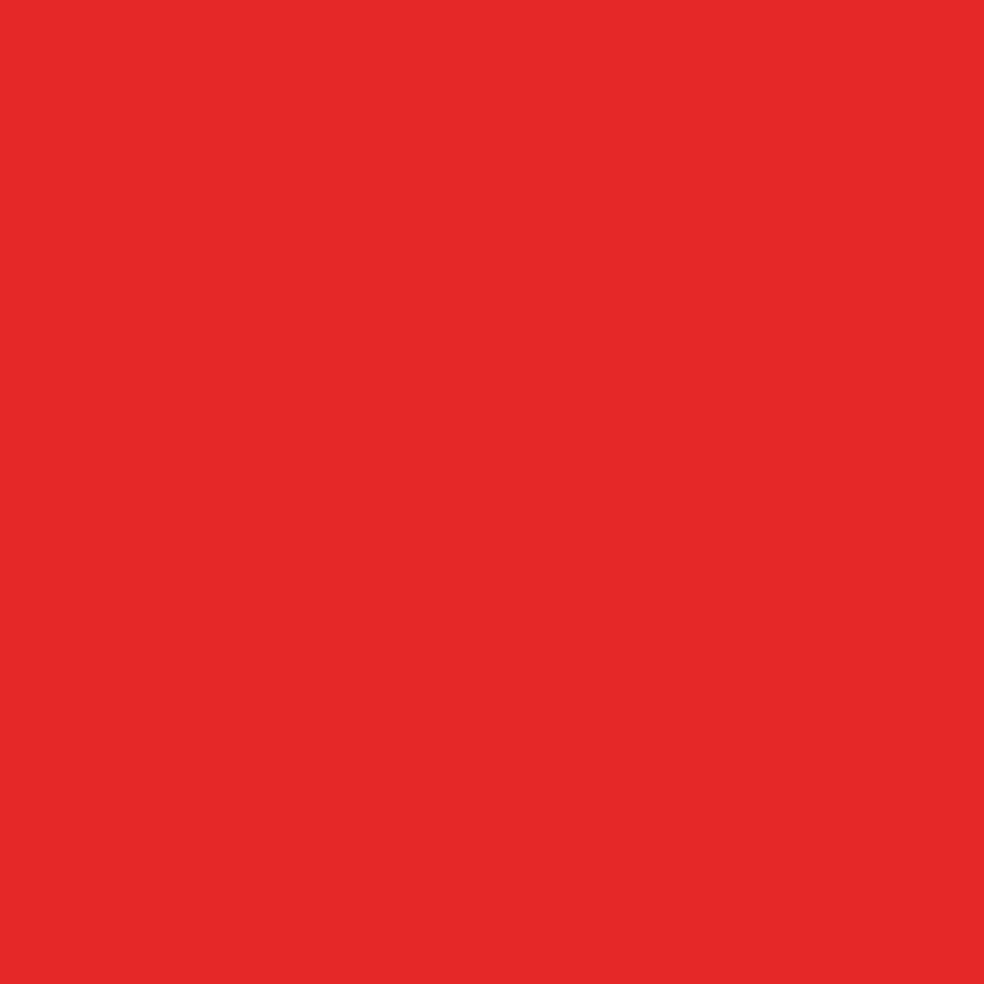 Bresser SBP05 Red Paper Background Roll - 2m x 11m Photography Backdrop for Studio Shoots