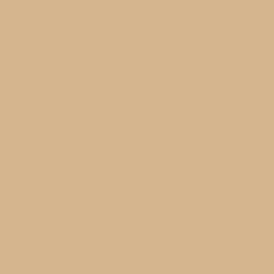 Bresser Sbp15 Beige Paper Background Roll 2.72m x 11m for Photography Studio Backdrop